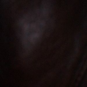 Meet your Posher, Loudin